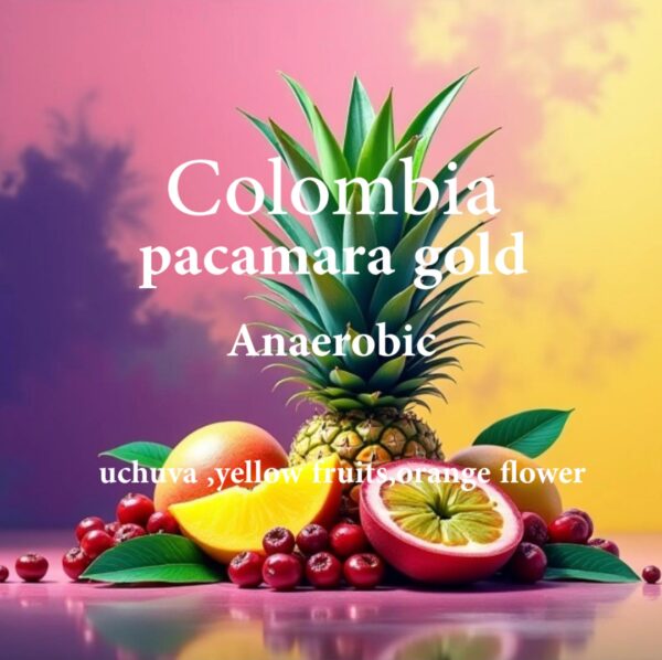 Pacamara Gold