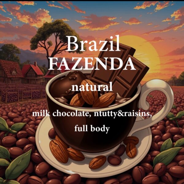 Brazil Fazenda