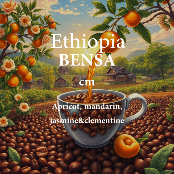Ethiopia Bensa